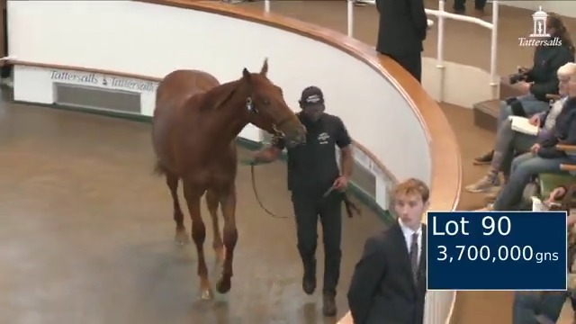 3,700,000gns 🤩 Longview Stud's Sea The Stars colt out of the Stakes winner Crystal Zvezda, herself a ½-sister to Gr.1 winners Crystal Ocean and Hillstar, goes the way of Godolphin at #TattsOctober Book 1.