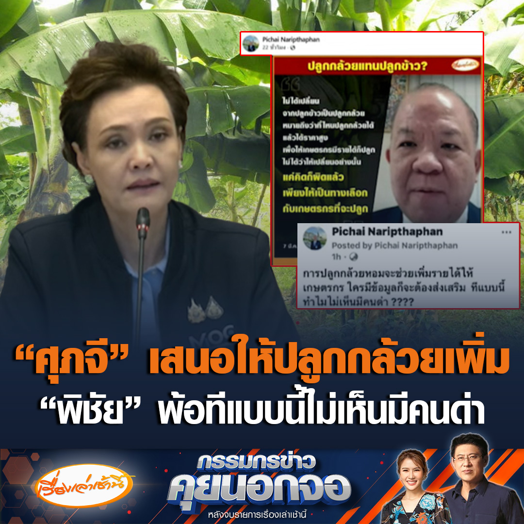 พิชัย นริพทะพันธุ์ อดีต รมว.พาณิชย์ แชร์ข่าว ศุภจี สุธรรมพันธุ์ รมว.พาณิชย์ คนปัจจุบัน สนับสนุนการปลูกกล้วยหอมทอง ในสถานการณ์ที่ราคาข้าวตกต่ำ พร้อมเขียนแคปชั่นว่า "การปลูกกล้วยหอมจะช่วยเพิ่มรายได้ให้เกษตรกร ใครมีข้อมูลก็จะต้องส่งเสริม ทีแบบนี้ทำไมไม่เห็นมีคนด่า" #เรื่องเล่าเช้านี้ #ข่าวช่อง3 #กรรมกรข่าวคุยนอกจอ #ข่าวเศรษฐกิจ #ศุภจี #พิชัย
