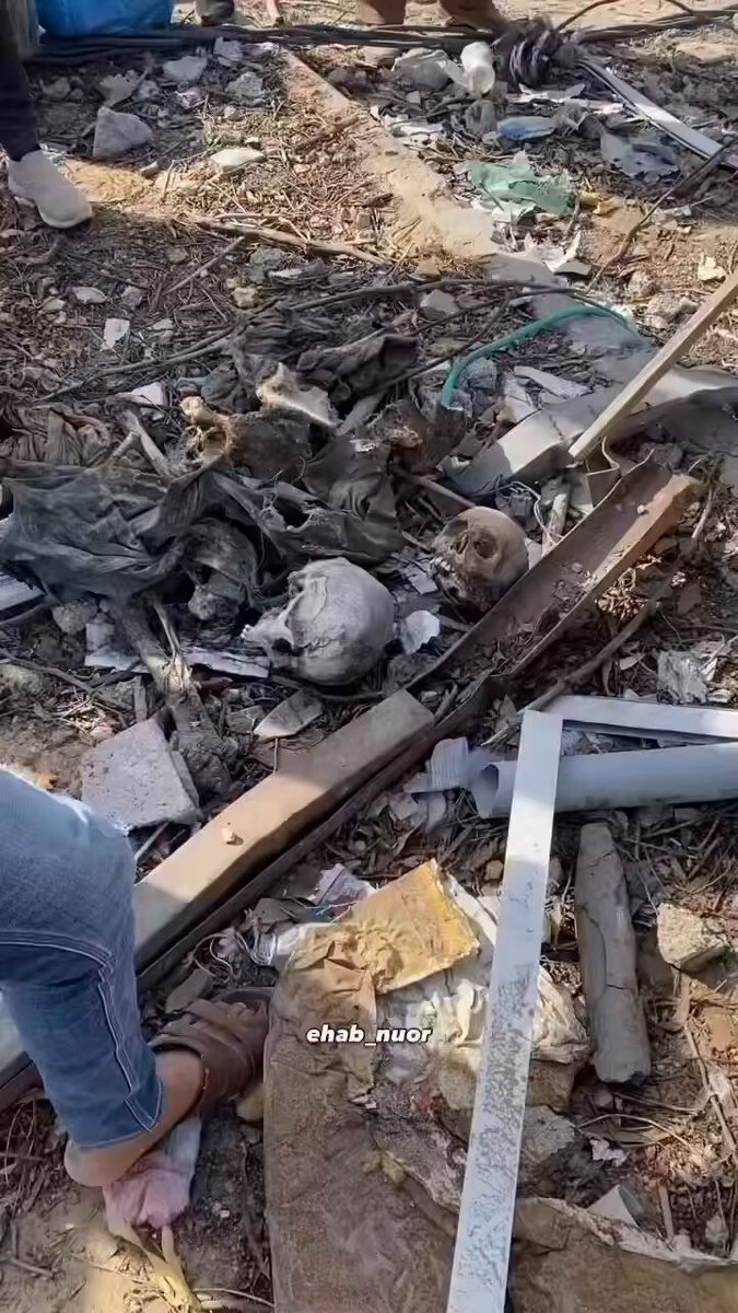 ISRAEL IS COMMITTING A GENOCIDE IN GAZA‼️ Why do you think Israel does not want International journalists? YOU ONLY HAVE TO SCRATCH THE SURFACE TO SEE THE EVIDENCE.
