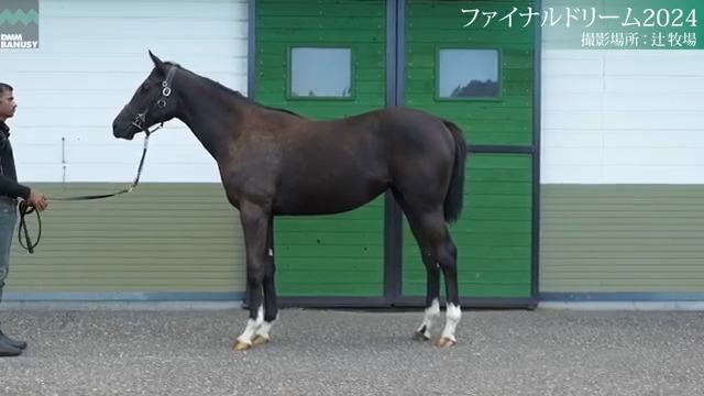 【関係者インタビュー】10/6🆕 ファイナルドリーム2024(牝.1歳) 父 #コントレイル 生産 辻牧場 厩舎 中内田充正/関西 募集総額 3800万円/ 2000口 一口金額(一括) 19000円 一口金額(分割) 6340円(3回) 10%キャッシュバック 1900円 #バヌーシー ▽詳細はこちら