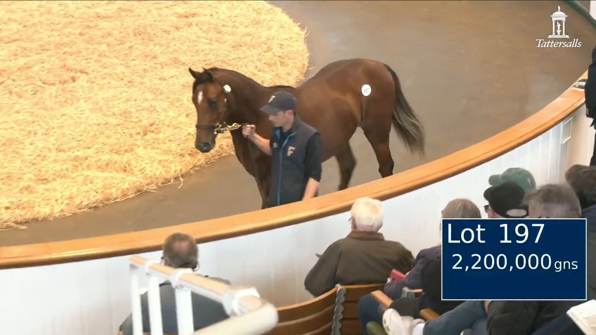 A first seven-figure yearling on day two at #TattsOctober Book 1. Godolphin outbids Mitsu Nakauchida at 2,200,000gns for fittocksstud's Frankel colt, a ½-brother to the Gr.2 winner Ottoman Fleet and out of a ½-sister to the Champion older miler Keltos.