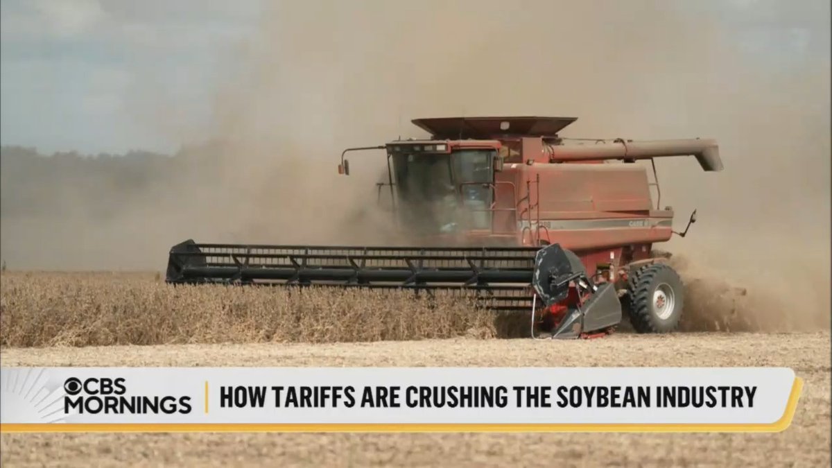 Soybean farmer: We don't want the aid. We want the trade. China starts buying elsewhere. Once they establish those trade routes, it becomes more difficult for them to come back to the US and buy their commodities. Once we lose that, we may never get it back again.