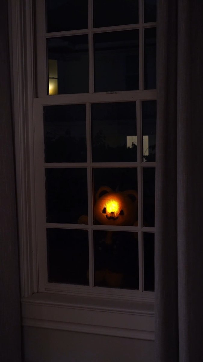 Cuddle time has come... and you're next. #TheSpookyStuffYouLove