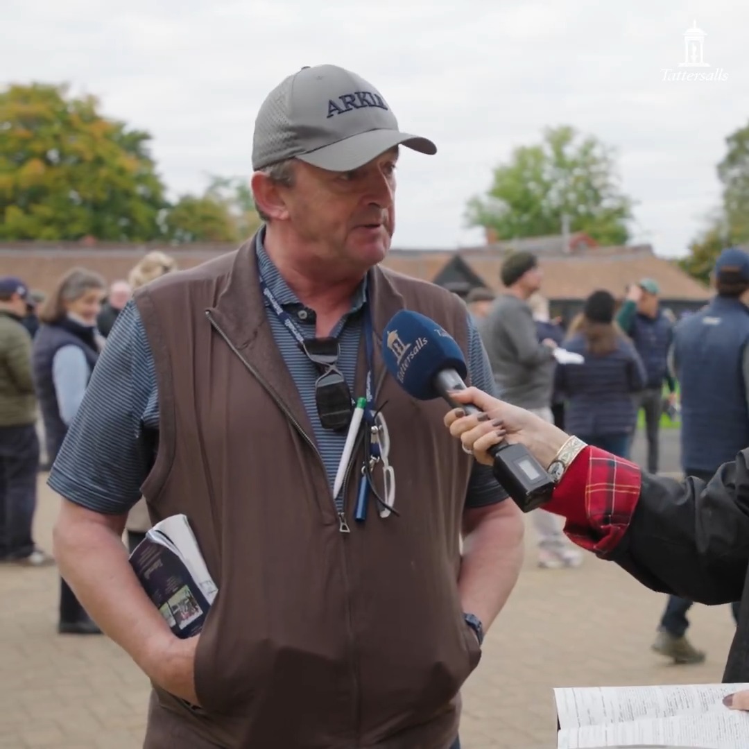 🍀 "He's a fantastic horse and I hope he is unbelievably lucky for Kia!" Eddie O'Leary of Lynn Lodge Stud catches up with Gina Bryce after their Night Of Thunder colt realises 1,700,000gns to race in the colours of Amo Racing.