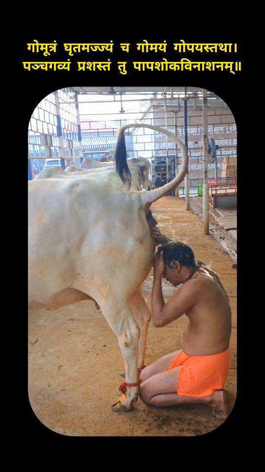 India is not for beginners