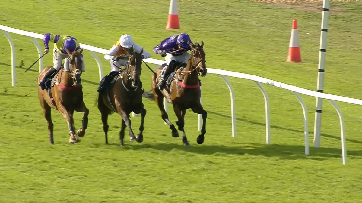 "This is the sort of race that he deserves to be running in" Fergal O'Brien Racing has some nice horses heading to Chepstow Racecourse on Saturday and joined the channel to preview their chances...