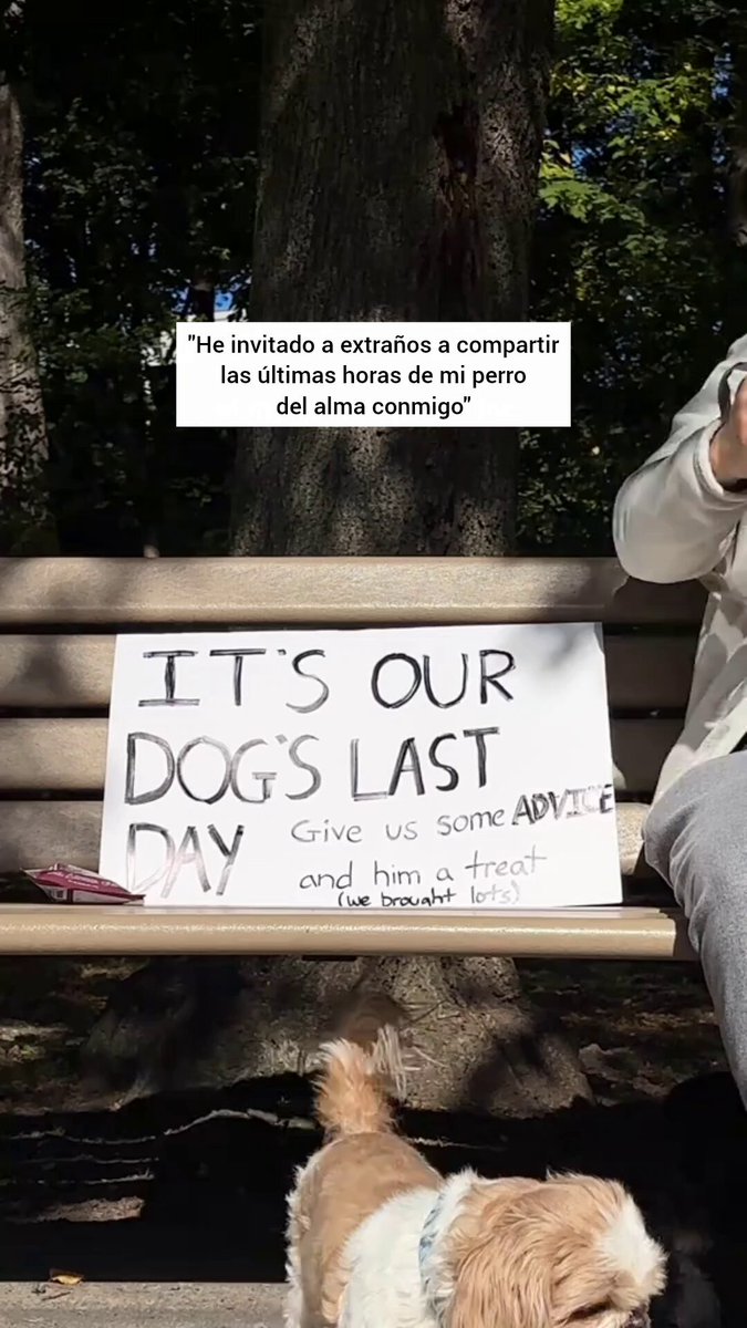 Este chico llevó a su perro al parque para que pudiera compartir con la gente del barrio sus últimas horas