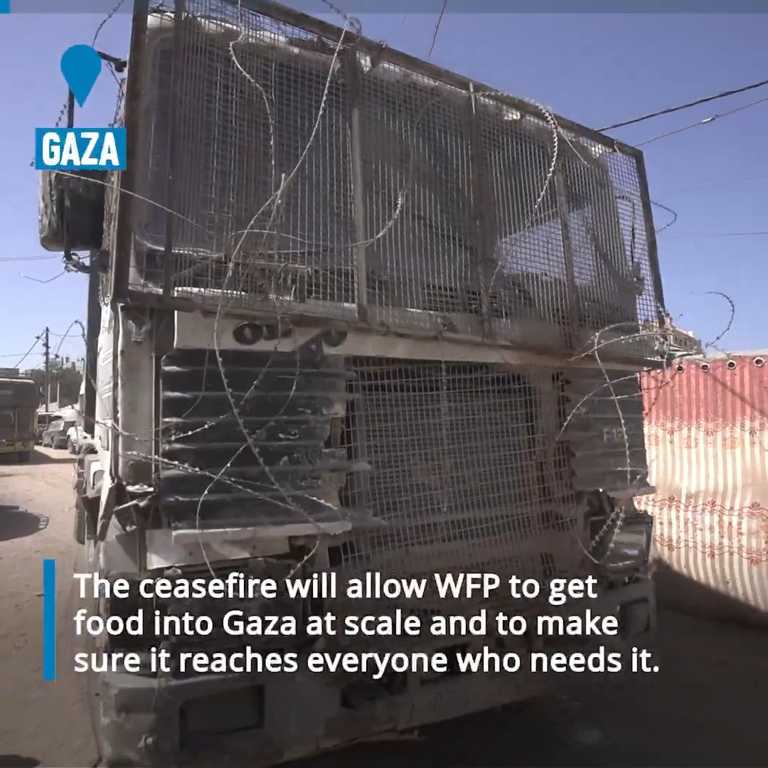 #Gaza ceasefire: WFP is ready to scale up aid & reach hungry families across the Strip. With safe and sustained access, we can reach 1.6M people in 3 months with bread, wheat flour & food parcels. More than 100k bundles of fresh bread are already being distributed daily. Lifelines are ready — with more access, we can scale up and ensure food reaches the most vulnerable.