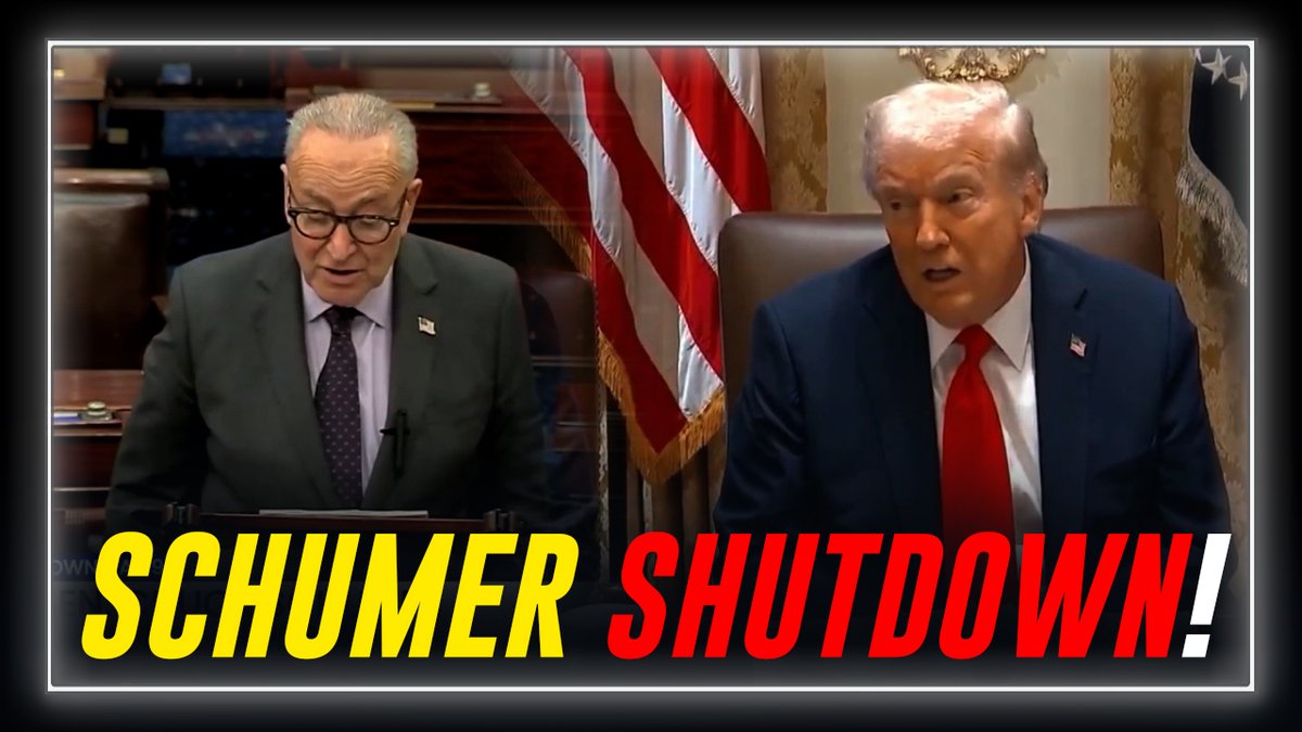 VIDEO: Schumer Publicly Confesses To Triggering Shutdown To Hurt Americans! Trump Responds, "He's The One That Shut It Down. This Is A Confession That He's Acting Not To Serve The People, But To Serve The Partisan Interests Of His Party!"