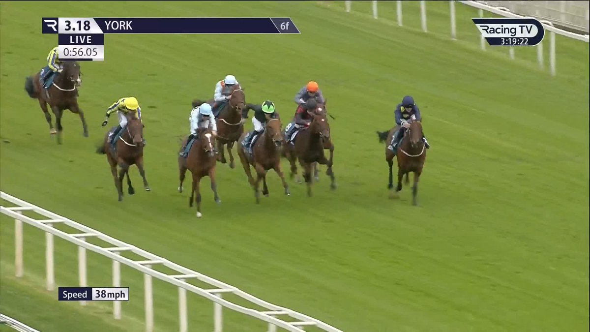 Off the mark ✅ Another York Racecourse winner for Somerville Lodge Stables and 𝐂𝐈𝐄𝐑𝐄𝐍 𝐅𝐀𝐋𝐋𝐎𝐍 𝐉𝐑 as Thaluna (Zoustar) sheds her maiden tag 🥇 William Hill | British EBF