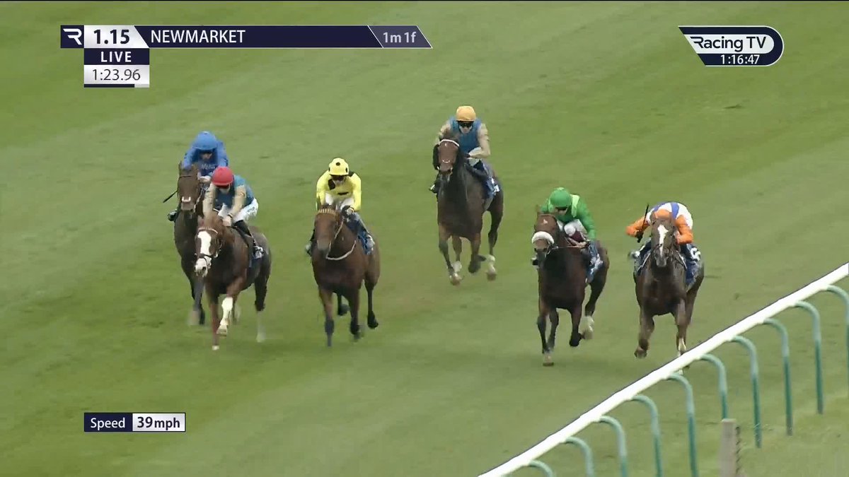 One heck of a prospect 👀 𝐃𝐚𝐦𝐲𝐬𝐮𝐬 downs the determined Gladius to impressively take Group Three honours in the Too Darn Hot Darley Stakes Newmarket Racecourse Clarehaven | James Doyle