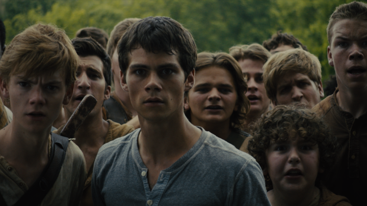 Dylan O'Brien with one of the most stressful scenes of all time in The Maze Runner (2014)
