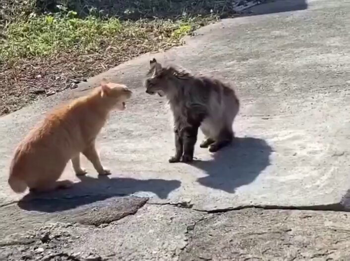 "Ok that's enough for today"