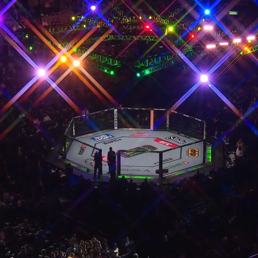 アルドが母国 ブラジルで改めて現役引退を表明💐 #UFC