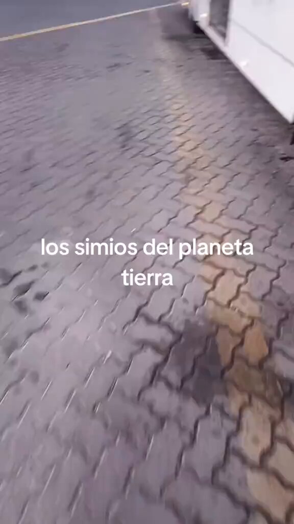 Votantes de Jeannette Jara y ex primera linea destruyen bus de transporte público recién llegado. Red Movilidad