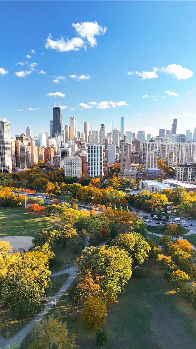 Autumn in Chicago. Too beautiful for words. 🎥: gina.zarnow via IG #NeverOutdoneChi