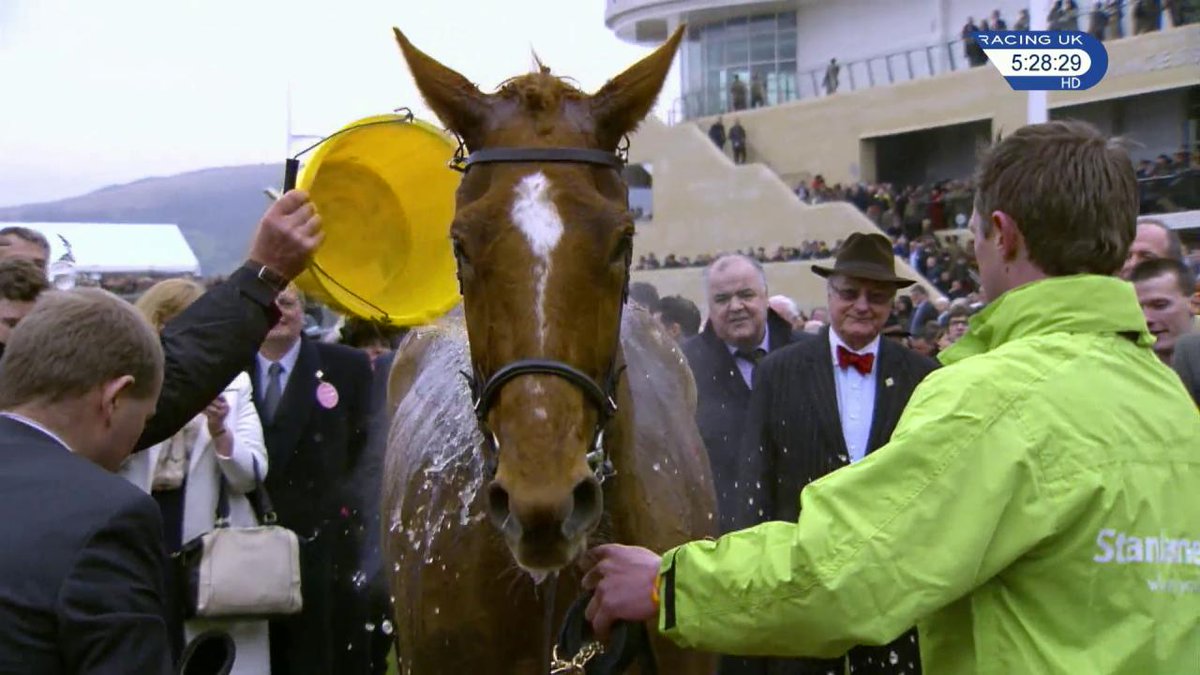 😍 ANNIE POWER remains one of the greatest National Hunt mares I've seen in my life for Willie Mullins. She would have won two Cheltenham Festival races but for that NASTY fall at the last in the Mares Hurdle. 🐐 The horse of a lifetime for Rich Ricci.