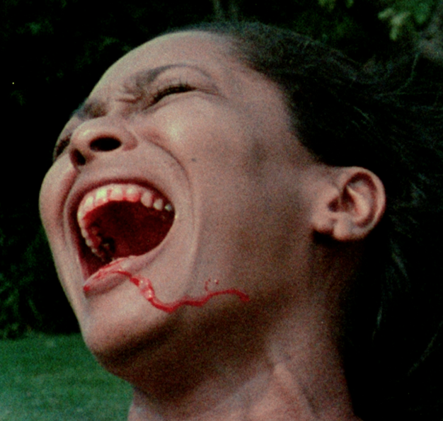Evening viewing recommendation? On Criterion Channel, watch Bill Gunn’s revolutionary independent landmark GANJA & HESS (1973)! Straining the conventions of blaxploitation and horror through a singular avant-garde sensibility, Gunn’s film is a highly stylized and utterly original treatise on sex, religion, and African American identity.