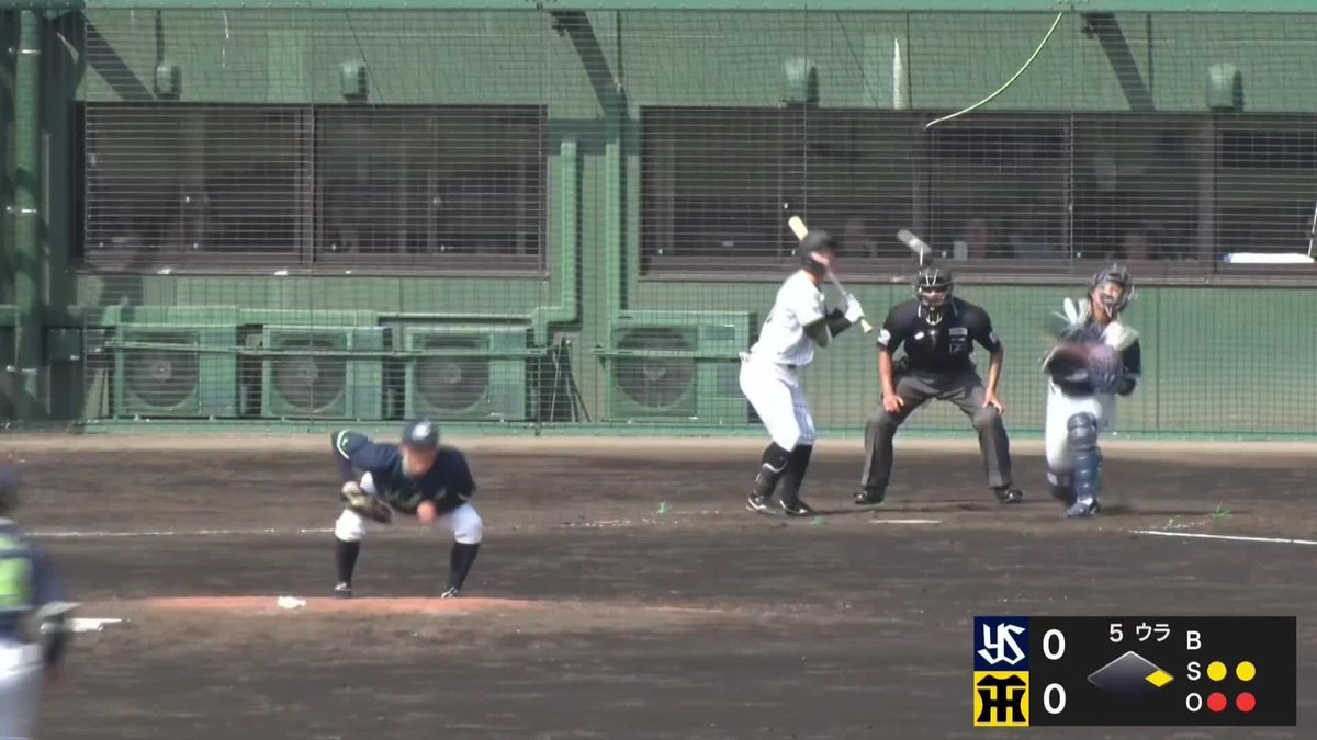 爆肩炸裂！ 鈴木叶 完璧な送球！ タイガースにチャンスを握らせない！ ⚾ #みやざきフェニックス・リーグ 📅2025/10/13 🆚阪神×ヤクルト 📱Live on DAZN #オレをみろ #イージースポーツ #swallows #だったらDAZN