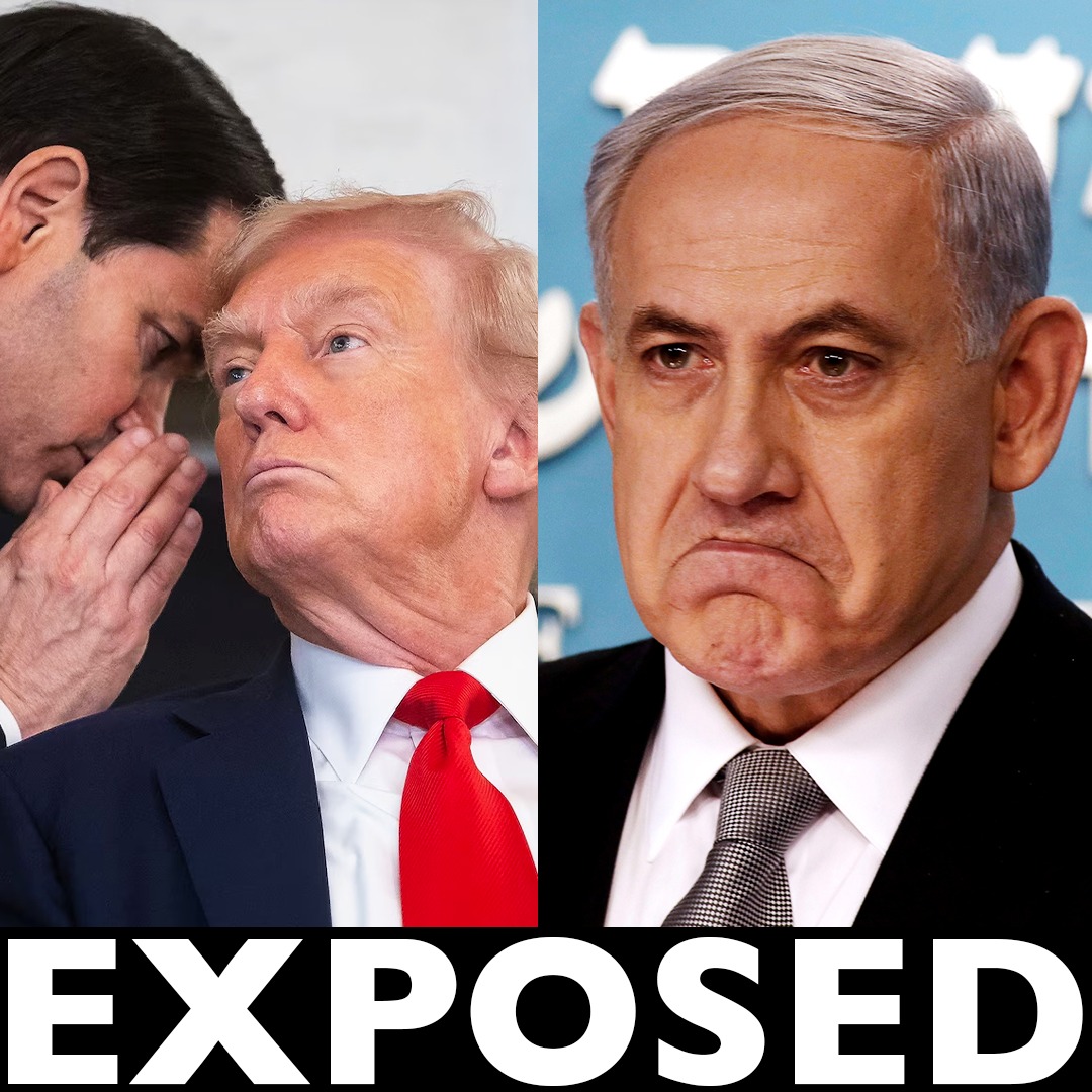 Lowkey Exposes Truth Behind Gaza Ceasefire @lowkey0nline