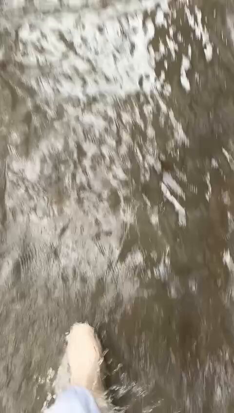 ⛈️ Aviso ROJO activado por AEMET Comunitat Valenciana 🔴 ⚠️ Riesgo inminente de lluvias torrenciales y tormentas 🌩️ 📸 Barranco de Beniopa, Gandía y Bellreguart 📍