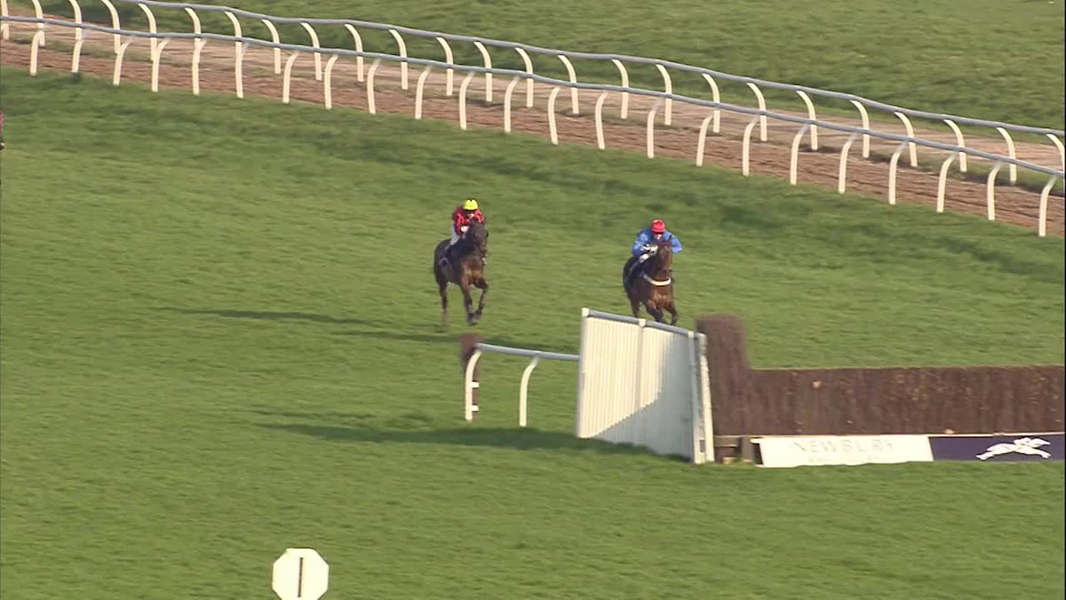 JUST IMAGINE BACKING THE HORSE THAT FINISHED 3RD... You would feel SICK 🤢🤢🤢 🎬 Racing TV