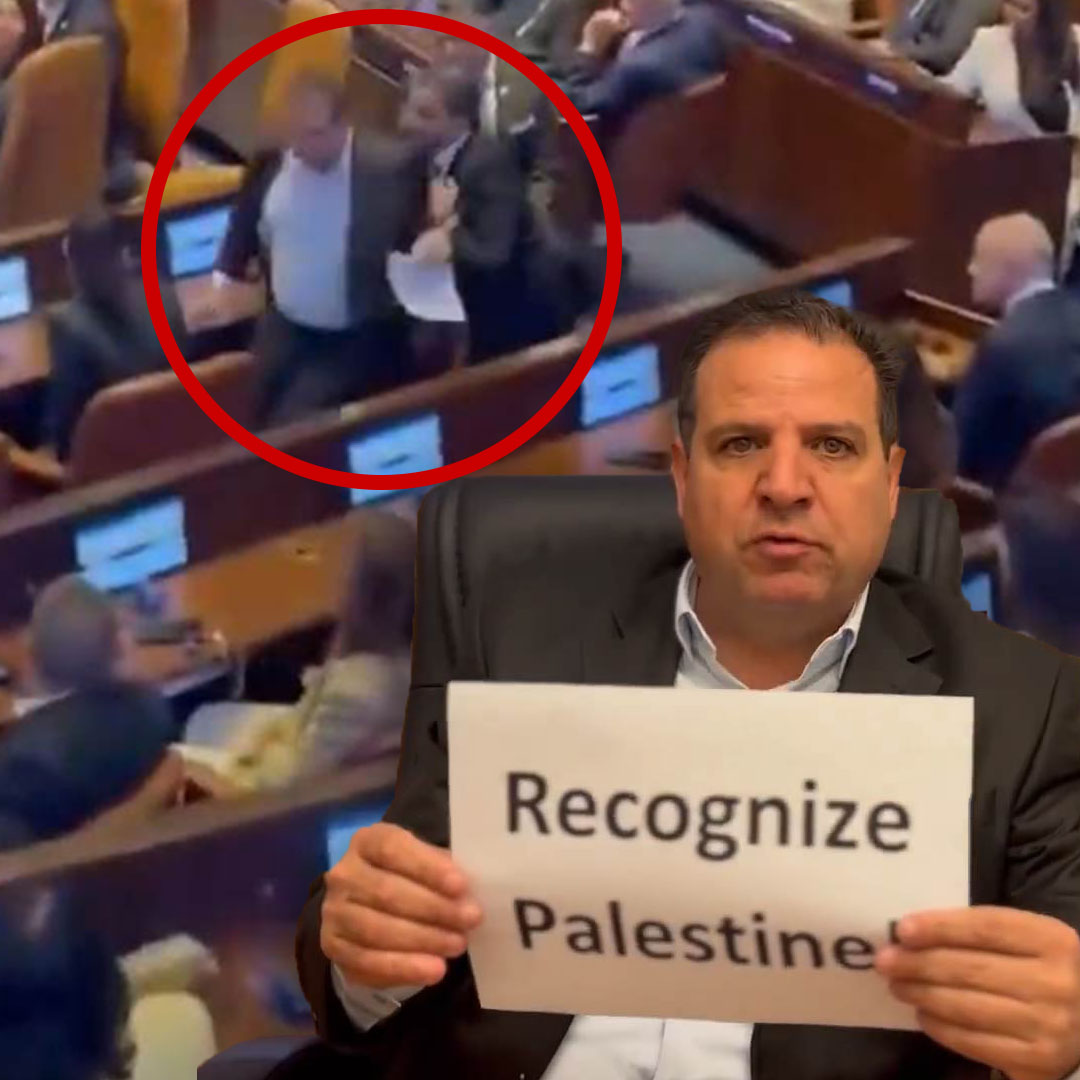 Diputado israelí explica su expulsión durante el discurso de Trump El diputado israelí Ayman Odeh interrumpió el discurso de Trump en el Parlamento con el fin de "demandar el reconocimiento del Estado de Palestina".
