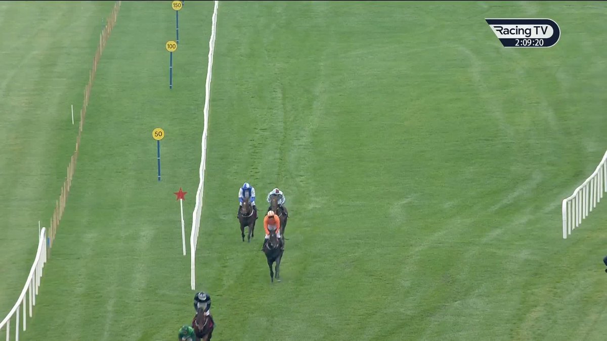👀 Secret Force is by Frankel out of a Listed winner by Dubawi. Now two from two in Ireland, he makes a fine start over hurdles here for conor stone walsh and GavinCromwell Racing at Punchestown