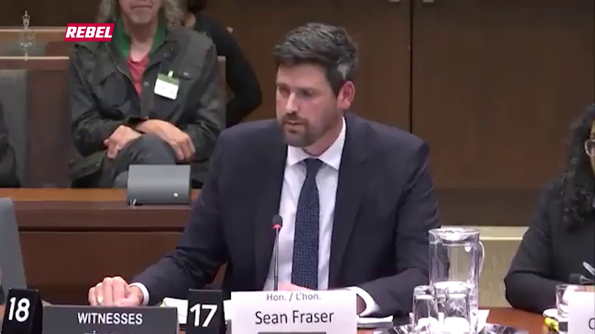 Justice Minister Sean Fraser confirms Canadians can be criminally charged for posts on social media under the Liberals' new 'hate crime' bill.