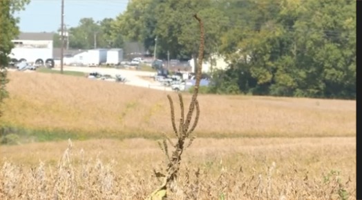 Indiana Farmer: “China is the number one buyer in the world of soybeans. Every other country in the world we export to does not total China. They have not purchased any soybeans in 2025.”