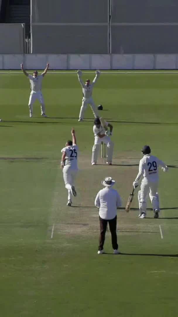 Boland has Konstas for a duck! What a setup by Scotty 👏 #SheffieldShield