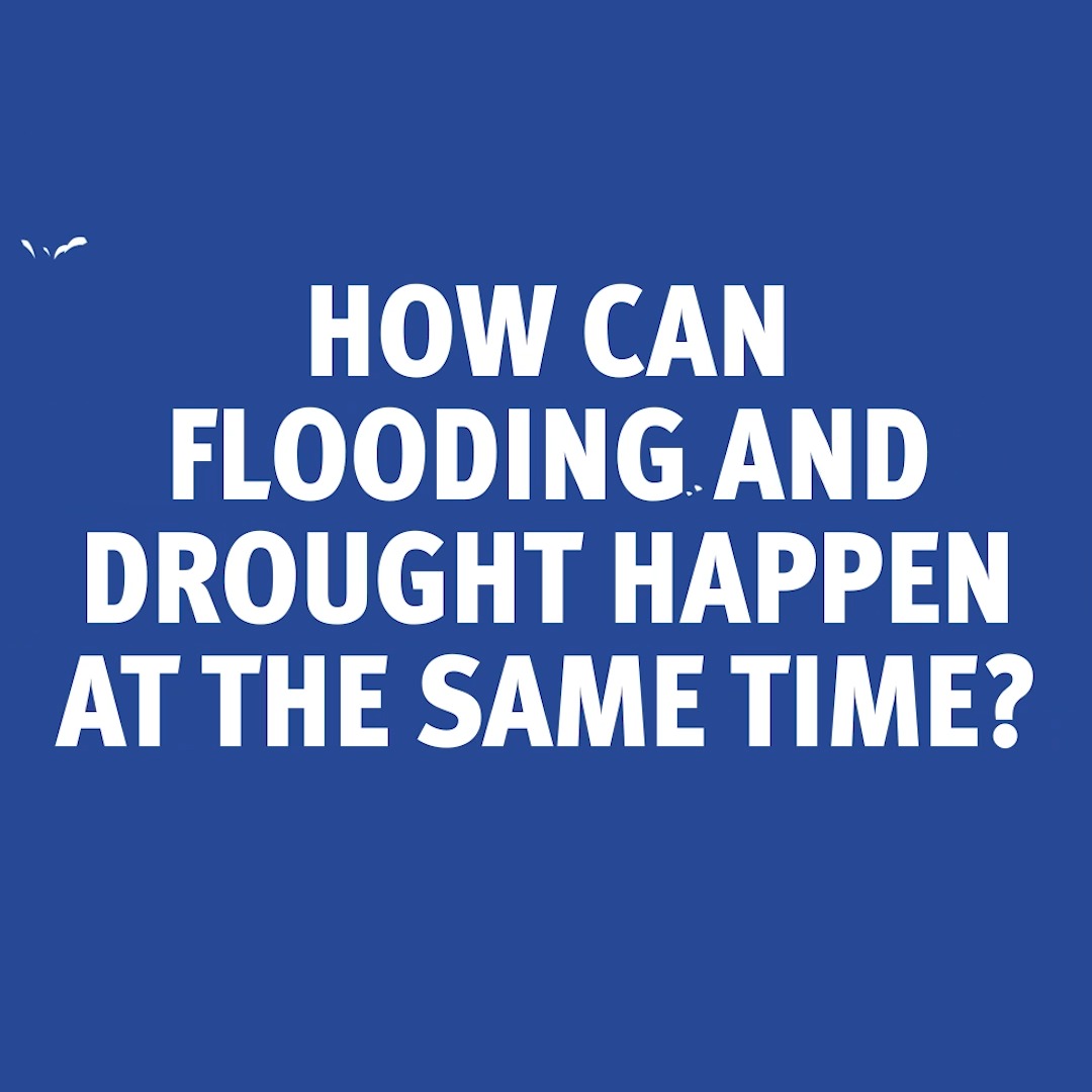 We have had one of the driest summers in recent years, but that doesn’t mean that flooding isn’t possible. Dry weather can actually increase the risk of flooding. Find out how 👇 Stay prepared: #FloodActionWeek