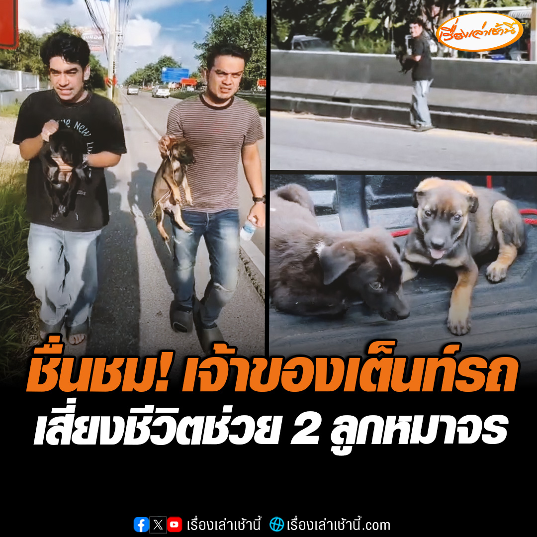 ชื่นชม! เจ้าของเต็นท์รถ เสี่ยงอันตรายไปช่วยลูกสุนัขจรจัด 2 ตัว วิ่งอยู่เกาะกลางถนนมิตรภาพ ซ้ำถูกน้องกัด-อุจจาระราดใส่ พร้อมรับดูแลต่อหวังให้ชีวิตใหม่กับน้อง ๆ #เรื่องเล่าเช้านี้ #ข่าวช่อง3 #ข่าวภูมิภาค #นครราชสีมา