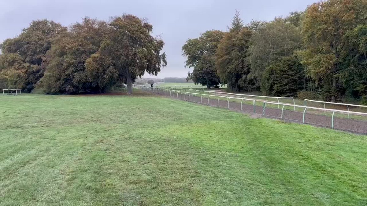 Take a look at FIELD OF GOLD galloping this morning ahead of Saturday's Queen Elizabeth II Stakes ⭐️ 🎥 David Milnes