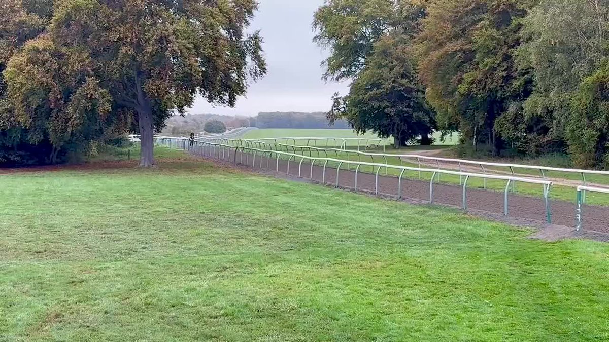 OMBUDSMAN having his gallop this morning ahead of Saturday's mouthwatering Champion Stakes ⭐️ 🎥 David Milnes