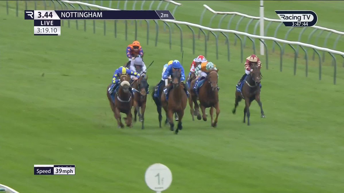 Back to back Free Tip winners! 🥇9/2 (5.50) 🥇6/1 (7.00) Who wants another tomorrow?❤️