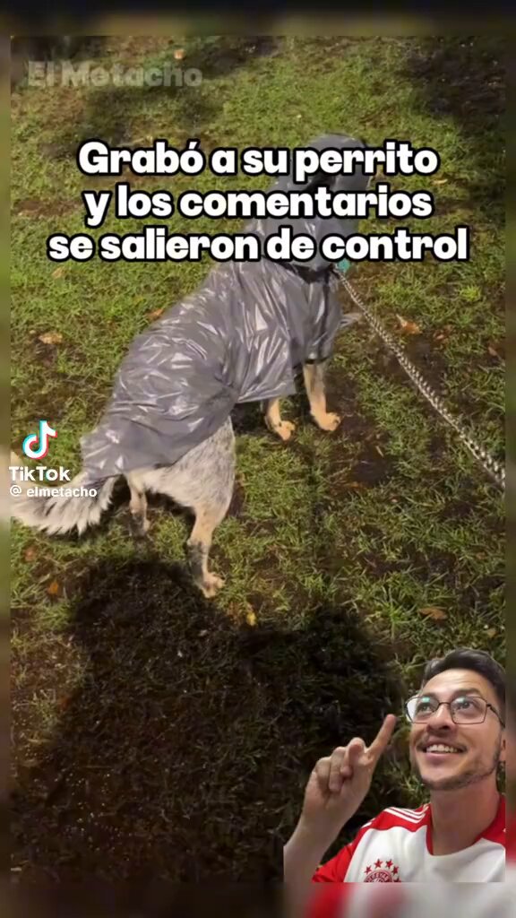 Estallé de risa 🤣🤣