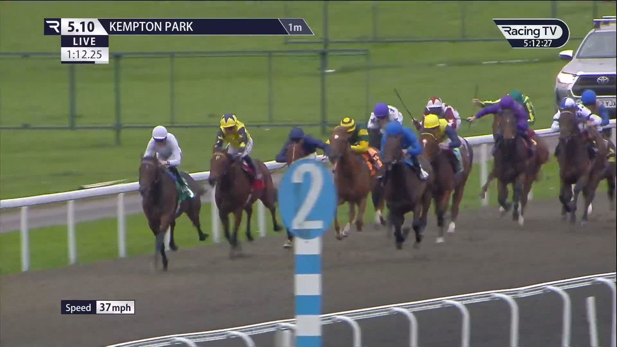 🚀 Wootton Bassett colt Talk Of New York absolutely BOLTS up on debut. Godolphin have another smart juvenile 🔵🔵 Kempton Park Racecourse | William Buick