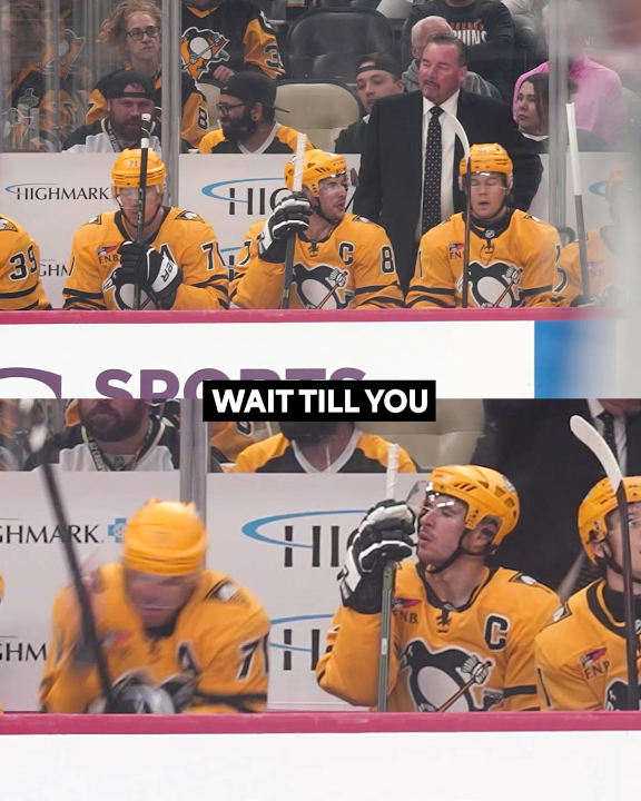 The puck always seems to find Sidney Crosby's stick... ๐
