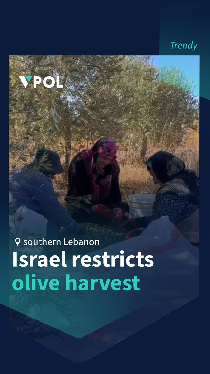 Vocal Politics correspondent Courtney Bonneau visited Lebanon’s southern border villages to document Israeli restrictions on olive harvesting. ■ Residents in Ramya said, “Since the end of the war, we have been under pressure. Our village is occupied, and we must coordinate with UNIFIL and the Lebanese army 48 hours in advance just to see our crops.” ■ Another farmer shared, “People went to their lands and found vineyards bulldozed and olive groves burned. Others have been abandoned for over two years.” ■ Accompanied by Lebanese Army units, farmers in Aitaroun and Yaroun entered their fields under Israeli surveillance to harvest olives. ■ Israeli tanks in Jal Al-Deir moved to intimidate them. Farmers were barred from harvesting in 2023–2024 due to the Israeli war that devastated southern Lebanon’s farmland.
