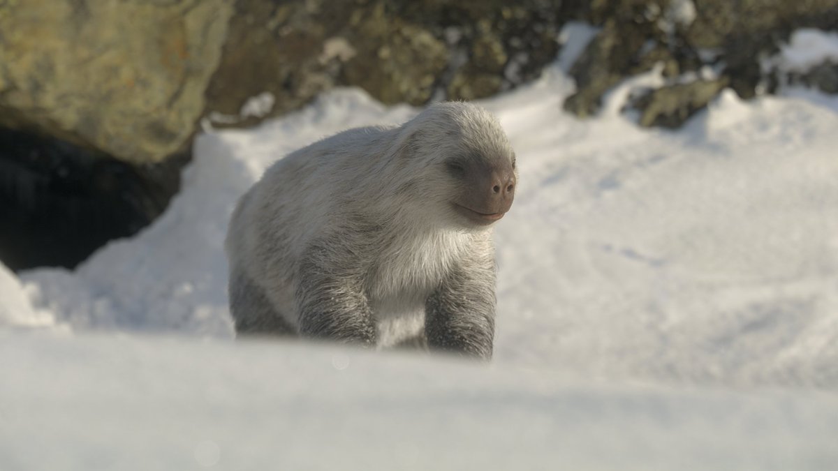 Meet the snow sloths of the Pleistocene in #PrehistoricPlanetIceAge, narrated by Tom Hiddleston. Premieres November 26 on Apple TV+