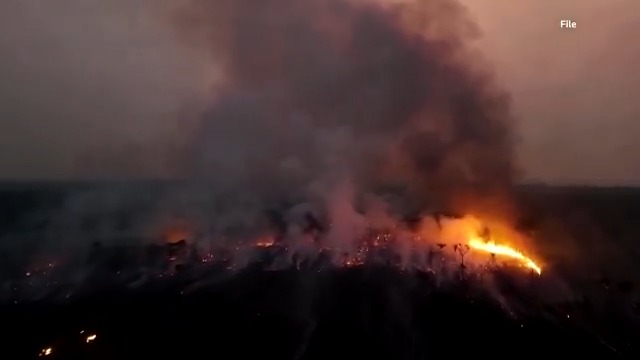 Carbon dioxide levels in the atmosphere have reached the highest ever recorded, potentially further warming the planet and leading to more extreme climate events, a new report by the World Meteorological Organization found
