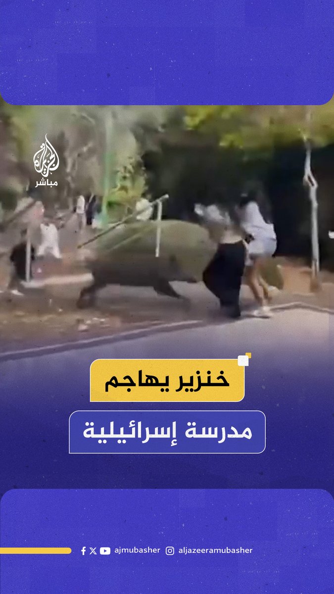 خنزير بري يهاجم طلاب إحدى المدارس في #إسرائيل.. ماذا حدث؟ #الجزيرة_مباشر