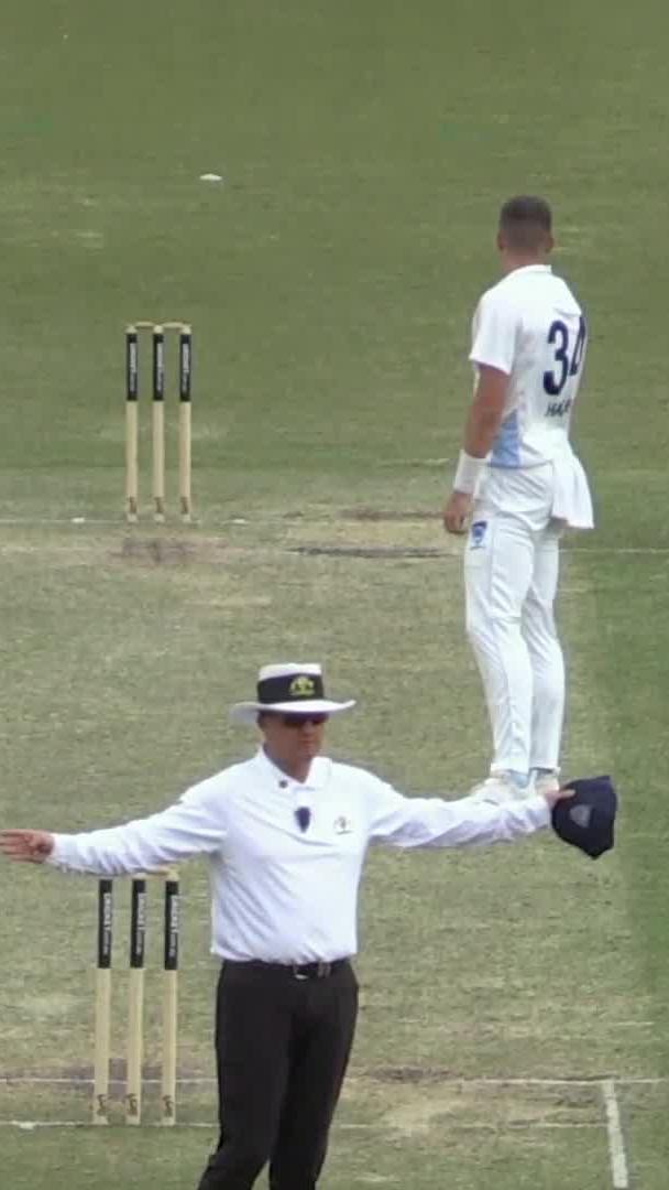 You can never switch off in leg slip 😬 #SheffieldShield