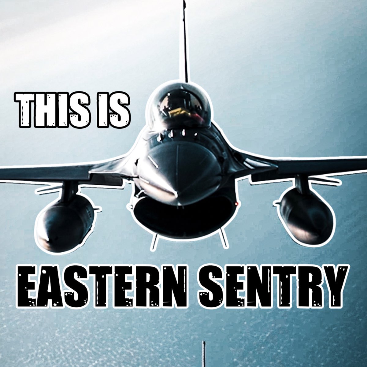In response to recent violations of NATO airspace, Allies have taken action. Learn about NATO’s Eastern Sentry, a multi-domain activity that strengthens our defences even further 🛡️