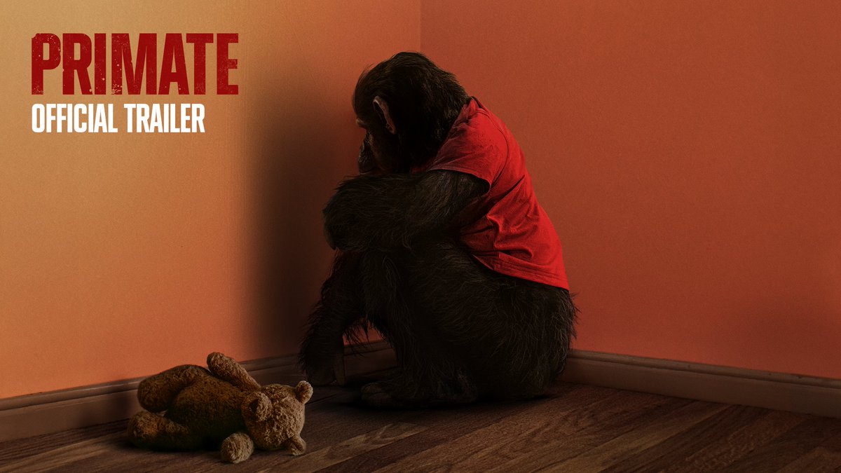 The first trailer for ‘PRIMATE’ has been released. The horror movie follows a family whose pet chimp gets rabies and begins brutally attacking the entire family. In theaters on January 9.