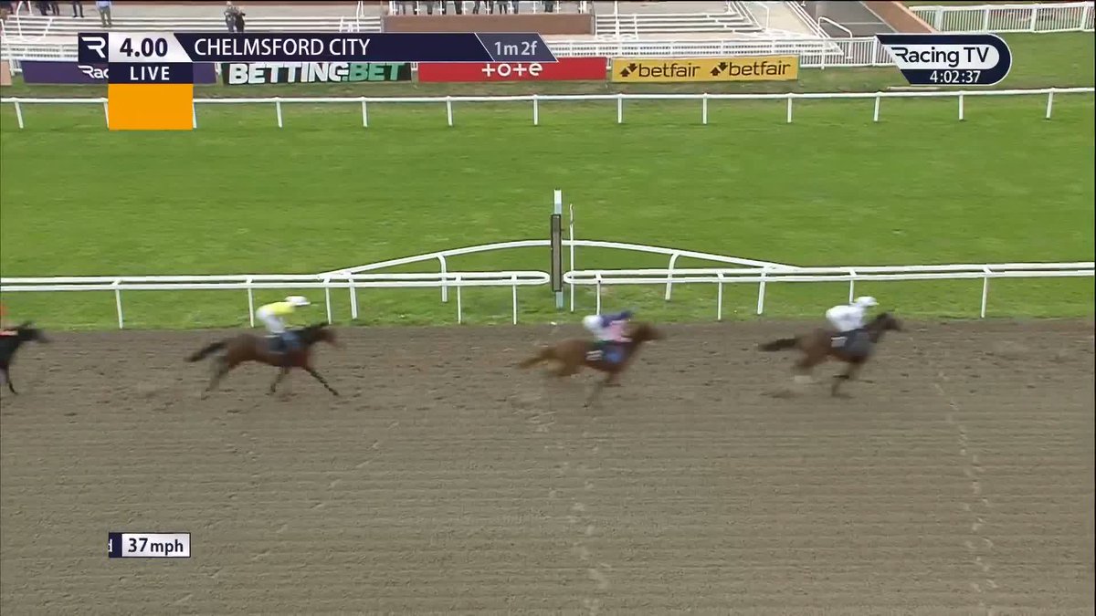 🔵 Noble Journey (Frankel x Kitesurf) opens his account at the second time of asking for team Godolphin
