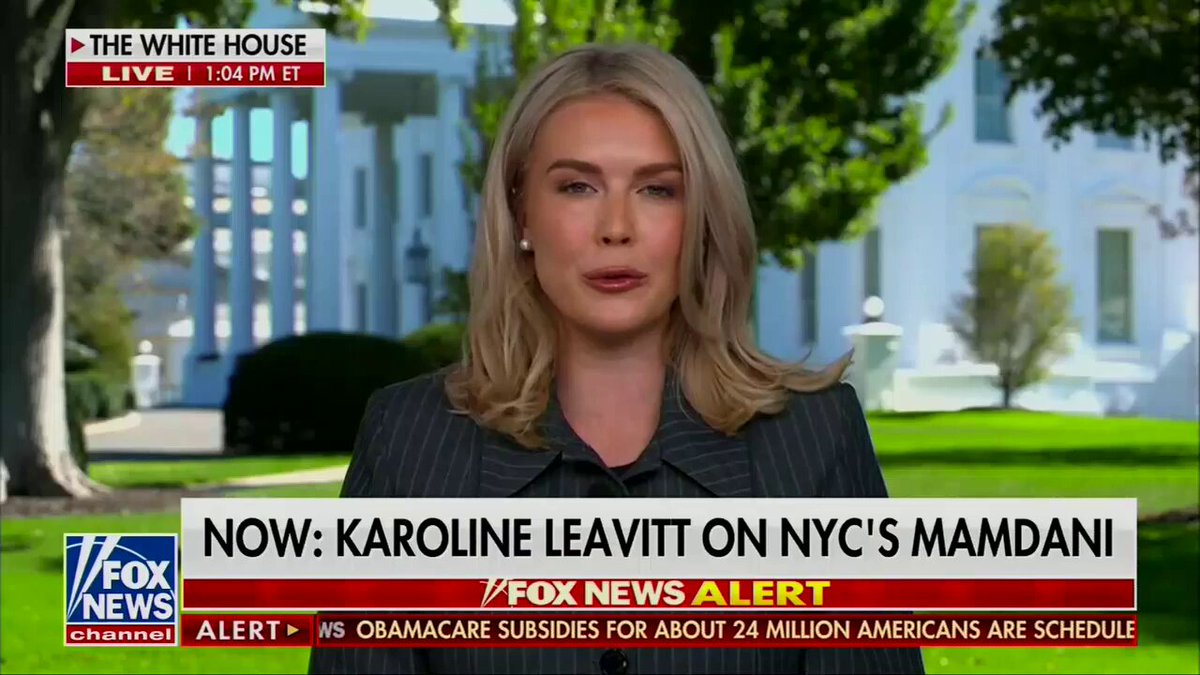 Leavitt: "The Democrat Party's main constituency is made up of Hamas terrorists, illegal aliens, and violent criminals."