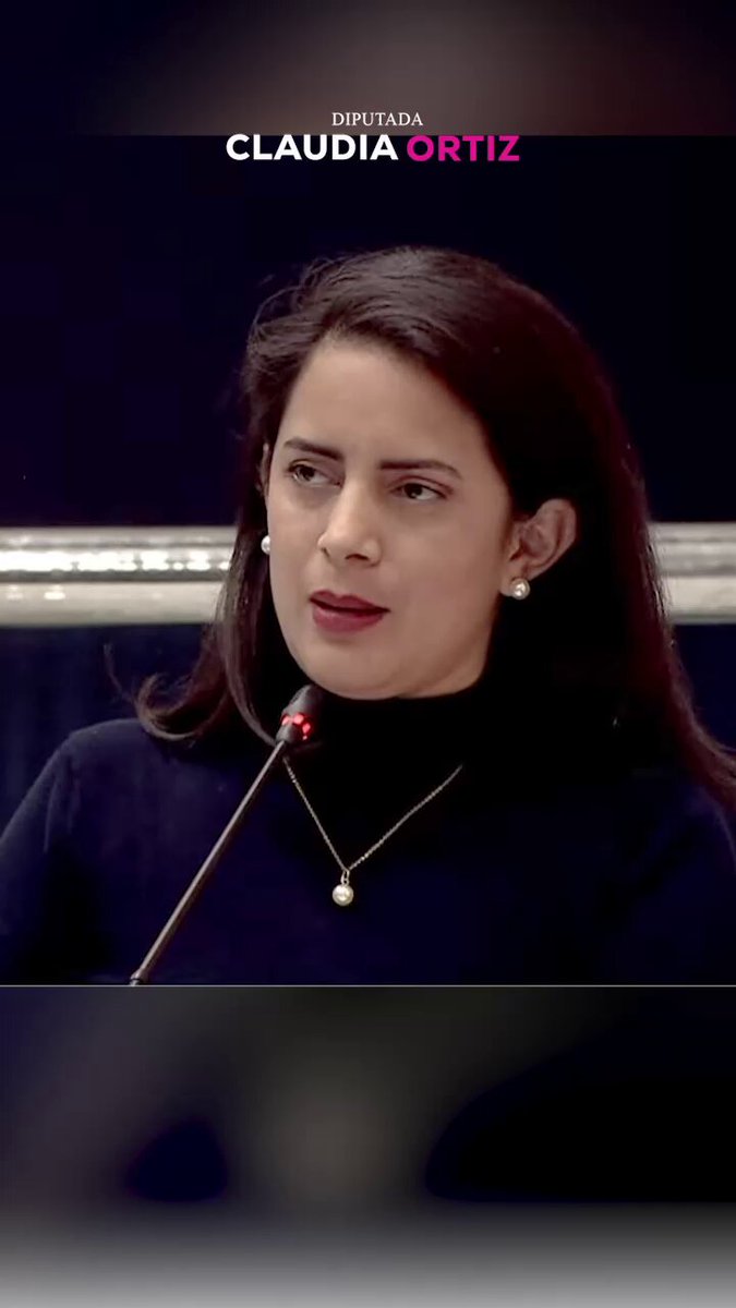 La PDDH El Salvador no debe servir al poder, sino al pueblo. Callar ante los abusos es traicionar al mismo pueblo. Volvieron a elegir a Raquel Caballero porque necesitan a alguien obediente que no denuncie los atropellos que sufre la gente por parte del Estado.