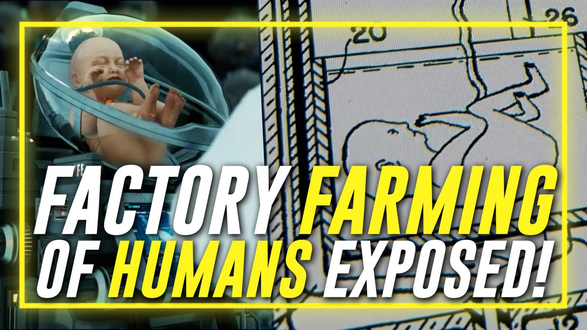 FULL INTERVIEW: Leading Expert On Surrogate Births Exposes The Factory Farming Of Humans Which Is A $200 Billon Global Industry Driven By Pedophiles! This Information Is Beyond Critical! If You Think The Medical System's Backing Of The Transgender Cult Is Bad, This Is Even Worse & Run By The Same People! Frank Wright